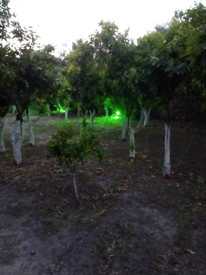 Περιβόλι Του Οδυσσέα Villa Voliszósz Kültér fotó